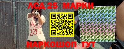 молекула духа Новозыбков