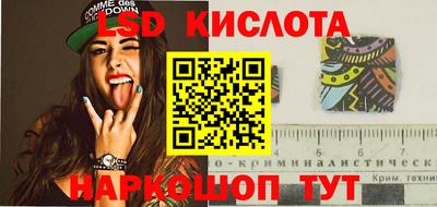 молекула духа Новозыбков