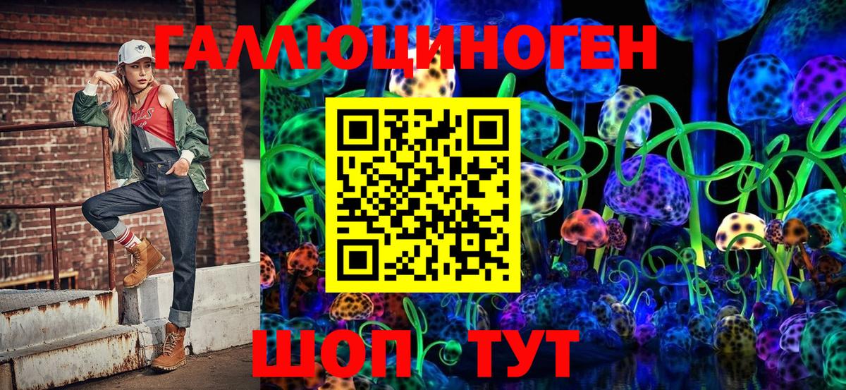 Галлюциногенные грибы Psilocybe Тверь